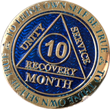 Set of 11 Recoverychip Gold Plated Month AA Medallions Months 1 2 3 4 5 6 7 8 9 10 11