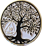 1 2 3 4 5 6 7 8 9 10 11 18 Month AA Medallion Tree Of Life Black White Serenity Prayer Coin