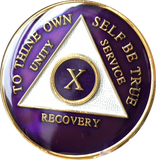 Purple Gold Tri-Plate AA Medallion 24 Hours 18 Month Year 1 - 45 Sobriety Chip - RecoveryChip