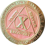 1 - 40 Year AA Medallion Reflex Pink Gold Plated RecoveryChip Design