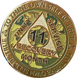 1 2 3 4 5 6 7 8 9 10 11 or 18 Month AA Medallion Reflex Camo Gold Plated Camouflage Sobriety Chip