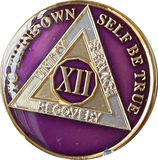 1 - 40 Year AA Medallion Metallic Purple Tri-Plate Sobriety Chip