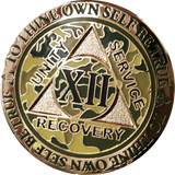 1 - 15 25 and 30 Year Reflex Camo Gold Plated AA Medallion Camouflage Sobriety Chip - RecoveryChip