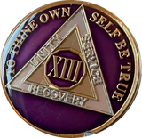 1 - 40 Year AA Medallion Metallic Purple Tri-Plate Sobriety Chip