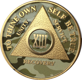 Camo & Gold Plated AA Medallion Any Year or Month 1 - 65 Alcoholics Anonymous Chip - RecoveryChip