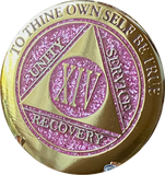 1 - 15 & 30 Year AA Medallion Elegant Glitter Pink Gold & Silver Plated Sobriety Chip