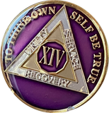 1 - 40 Year AA Medallion Metallic Purple Tri-Plate Sobriety Chip