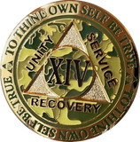 1 - 15 25 and 30 Year Reflex Camo Gold Plated AA Medallion Camouflage Sobriety Chip - RecoveryChip