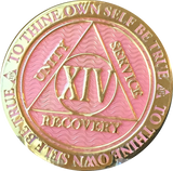 1 - 40 Year AA Medallion Reflex Pink Gold Plated Alcoholics Anonymous RecoveryChip Design - RecoveryChip
