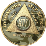 Camo & Gold Plated AA Medallion Any Year or Month 1 - 65 Alcoholics Anonymous Chip - RecoveryChip