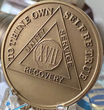 Engravable 17 Year AA Medallion Large Heavy Bronze – 1½” Challenge Coin Size Sobriety Chip