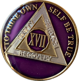 1 - 40 Year AA Medallion Metallic Purple Tri-Plate Sobriety Chip