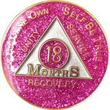 24 Hours AA Medallion Purple or Pink or Aqua Glitter Tri-Plate Sobriety Chip - RecoveryChip