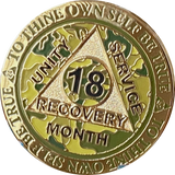 1 2 3 4 5 6 7 8 9 10 11 or 18 Month AA Medallion Reflex Camo Gold Plated Camouflage Sobriety Chip