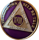 1 - 40 Year AA Medallion Metallic Purple Tri-Plate Sobriety Chip