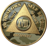 Camo & Gold Plated AA Medallion Any Year or Month 1 - 65 Alcoholics Anonymous Chip - RecoveryChip