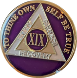 1 - 40 Year AA Medallion Metallic Purple Tri-Plate Sobriety Chip