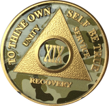 Camo & Gold Plated AA Medallion Any Year or Month 1 - 65 Alcoholics Anonymous Chip - RecoveryChip