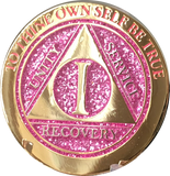 1 Year AA Medallion Elegant Pink Glitter Gold & Silver Plated RecoveryChip Design