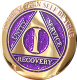 1 - 10 & 30 Year AA Medallion Elegant Glitter Purple Gold & Silver Plated Sobriety Chip - RecoveryChip