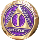 Popular 1 Year AA Medallions Gold Plated Sobriety Chips In Various Colors - RecoveryChip