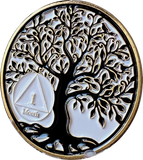 1 2 3 4 5 6 7 8 9 10 11 18 Month AA Medallion Tree Of Life Black White Serenity Prayer Coin