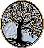 1 2 3 4 5 6 7 8 9 10 11 18 Month AA Medallion Tree Of Life Black White Serenity Prayer Coin