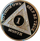 1 2 3 4 5 6 7 8 9 10 11 or 18 Month AA Medallion Classic Black Tri-Plate Sobriety Chip