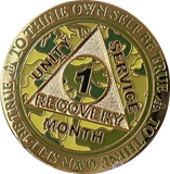 1 2 3 4 5 6 7 8 9 10 11 or 18 Month AA Medallion Reflex Camo Gold Plated Camouflage Sobriety Chip