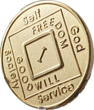 1 Year NA Medallion Highly Polished Clean Time Official Narcotics Anonymous Chip