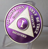 Purple Silver Plated AA Alcoholics Anonymous Medallion Chip Year 1 - 65 All Years Available - RecoveryChip