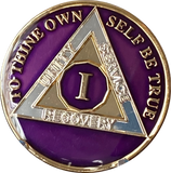 1 Year AA Medallion Metallic Purple Tri-Plate Sobriety Chip