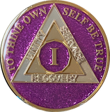 1 Year AA Medallion Violet Purple Glitter Tri-Plate Sobriety Chip