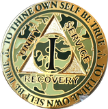 Popular 1 Year AA Medallions Gold Plated Sobriety Chips In Various Colors