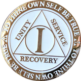 1 2 3 4 5  Year AA Medallion Reflex Glow In The Dark Gold Plated White Sobriety Chip - RecoveryChip