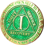 Popular 1 Year AA Medallions Gold Plated Sobriety Chips In Various Colors - RecoveryChip