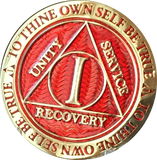 1 Year AA Medallion Plated Full Color Sobriety Chip
