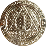 1 Year Reflex Silver Plated AA Medallion Sobriety Chip - RecoveryChip