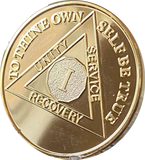 1 Year AA Medallion 1.5" Large Challenge Coin Premium 22k Gold Plated Sobriety Chip