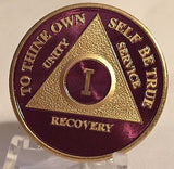 Purple & Gold Plated Any Year 1 - 65 AA Chip Alcoholics Anonymous Medallion Coin - RecoveryChip