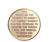 Let Go Let God Butterfly Serenity Prayer Bronze Recovery Medallion Coin AA NA - RecoveryChip