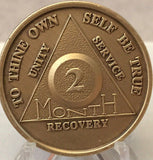 Lot of 20 Serenity Prayer Bronze Medallions AA Alcoholics Anonymous Chip Coins - RecoveryChip