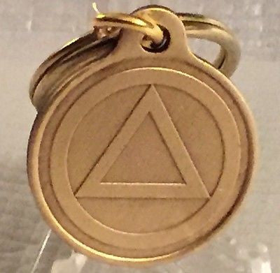 Circle Triangle Alcoholics Anonymous Bronze Key Chain AA NA Keychain Serenity - RecoveryChip
