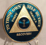 Blue & Gold Plated Any Year 1 - 65 AA Chip Alcoholics Anonymous Medallion Coin - RecoveryChip
