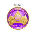 AA Founders Chip Gold Plated Purple Alcoholics Anonymous Medallion Any Year 1 - 65 - RecoveryChip