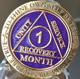 Set of 11 Recoverychip Gold Plated Month AA Medallions Months 1 2 3 4 5 6 7 8 9 10 11