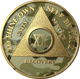Camo & Gold Plated AA Medallion Any Year or Month 1 - 65 Alcoholics Anonymous Chip - RecoveryChip