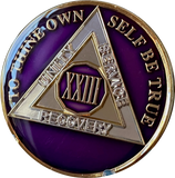 1 - 40 Year AA Medallion Metallic Purple Tri-Plate Sobriety Chip