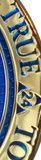 24 Hours AA Medallion Reflex Blue Gold Plated Alcoholics Anonymous RecoveryChip Design - RecoveryChip