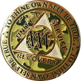 1 - 15 25 and 30 Year Reflex Camo Gold Plated AA Medallion Camouflage Sobriety Chip - RecoveryChip